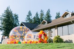 NileSoftOpening 46 1684299635 Bubble House