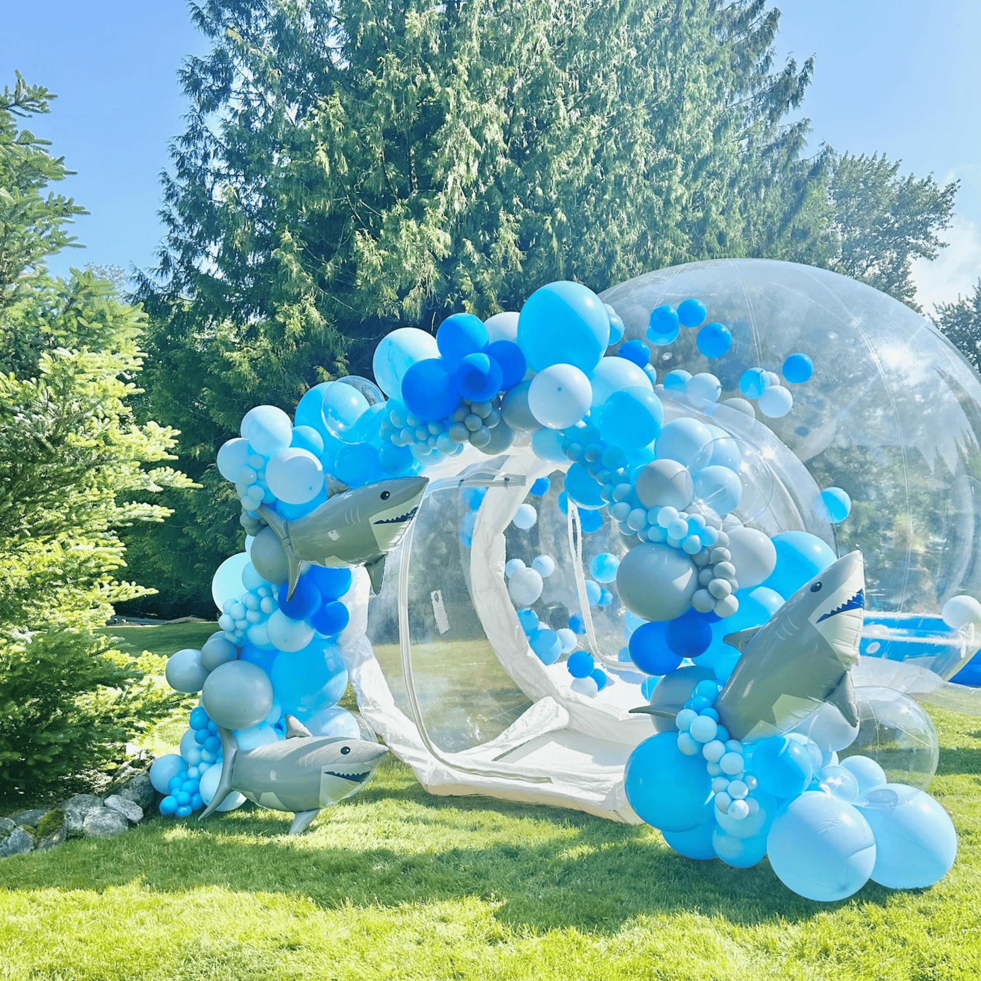 Luxury bounce house rental in lynnwood- bubble house rental in lynnwood with bubble house, bubble dome, balloon house and balloon garland for outdoor events and shark birthday party fun