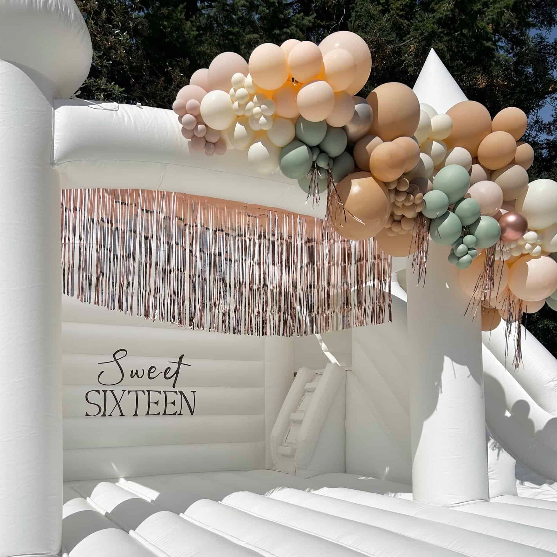 blush, sage, and sand balloon garland and custom backdrop styled for a Sweet Sixteen in Monroe, WA